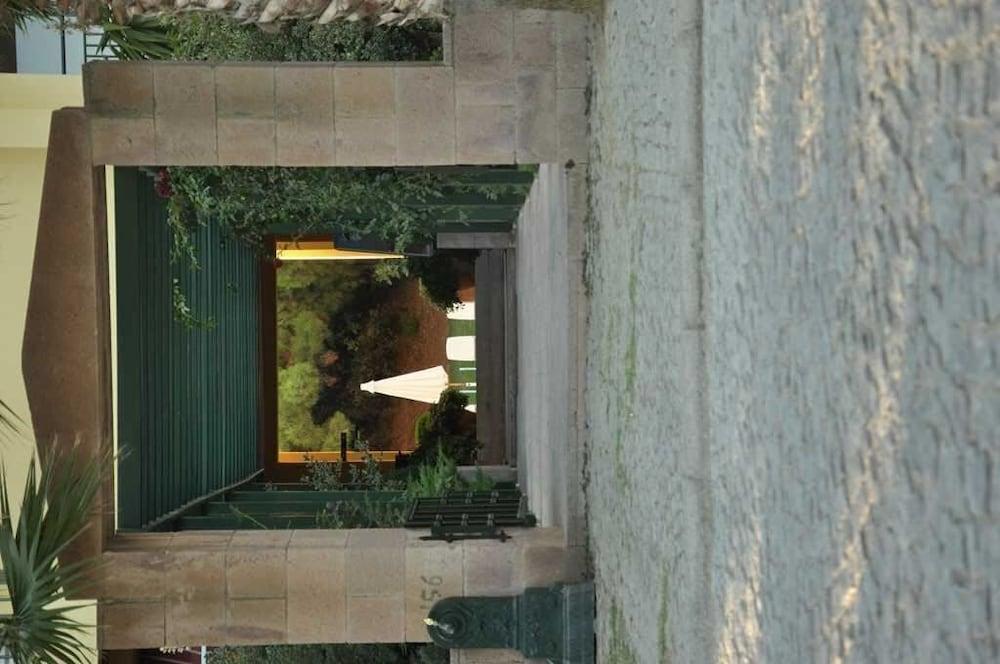 Ayvalı 팜 코트 스위트 아이발릭 B&B 외부 사진